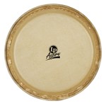 Lp Aspire 10 Rawhide Quinto Head