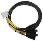 DB25-XLR M+F AES/EBU Digisnake 12'