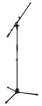 BT4 - Telescoping Boom Stand