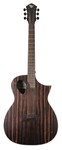 Forte Exotic JE Java Ebony Acoustic Guitar