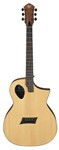 Forte Port Natural Acoustic Guitar