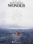 Shawn Mendes - Wonder - Piano | Vocal | Guitar