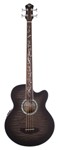 Dragonfly 4 Fretless - Acoustic Bass with Smoke Burst Finish