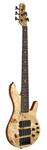 Pinnacle 5 Active Bass - Electric Bass Guitar with Natural Burl Finish