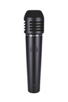 MTP 440 DM Dynamic Instrument Mic