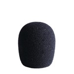 LCT 40 Ws Windscreen
