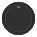 Ambassador Smt Ebony Drumhead, 22