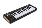 Arturia Microlab Mk3 25-key Usb Midi Controller - Black