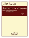 Andante & Allegro