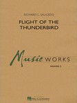 Flight Of The Thunderbird