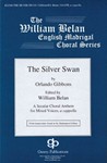 Silver Swan