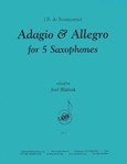 Adagio & Allegro  From Concerto #1