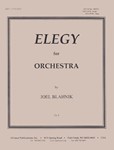 Elegy For Orchestra - Set