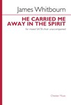 He Carried Me Away in the Spirit