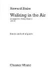 Walking in the Air Op 615 [string 4tet] SCORE/PTS