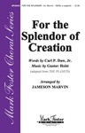 For The Splendor Of Creation