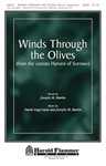 Winds Through The Olives
