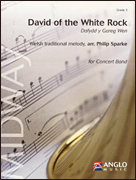 David Of The White Rock (Dafydd Y Gareg Wen) - Grade 3 - Band Arrangement