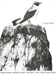 Catalogue Of Birds, For Piano (volume 2)