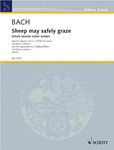 Sheep May Safely Graze  Bwv208