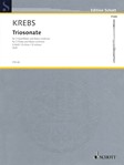 Triosonate B-minor [2 flutes and cello] SCORE/PTS