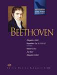 Beethoven Hits & Rarities - Piano