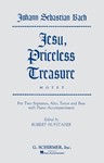 Jesu Priceless Treasure