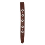 Planet Waves Conchos Guitar Strap, Brown