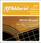 D'Addario EJ14 80/20 Light Top/ Medium Bottom 12-56
