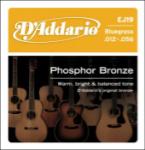 D'Addario EJ19 Phosphor Bronze Light Top/ Medium Bottom 12-56
