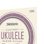 D'Addario EJ65C Pro-Arte Custom Extruded NylonUkulele Strings, Concert