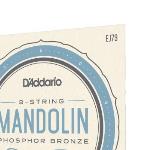 D'Addario 10-38 Mandolin Phosphor Light