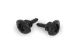 Planet Waves PWEEP102 Elliptical End Pins, Black