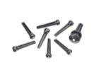 Daddario PWPS10 7 Bridge Pins with End Pin Set, Ebony w/Dot