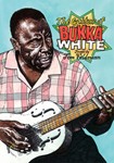 The Guitar of Bukka White