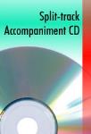 A Noel Celebration - Split-track Accompaniment CD