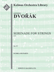 Serenade for Strings, Op. 22/B. 52 [string orchestra]