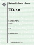 Serenade in E minor, Op. 20 [string orchestra]