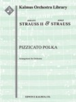 Pizzicato Polka (arrangement) [1+Picc.2.2.2: 4.3.3.1: Timp.Perc(2): Str (9.8.7.6.5 in set)]