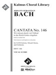 Cantata No. 146: Wir mussen durch viel Trubsal in das Reich Gottes eingehen, BWV 146 [1.2(both dObd'