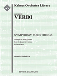 Symphony for Strings in E minor [string orchestra]