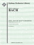 Jesu, Joy of Man's Desiring (Cantata No. 147: Herz und Mond und Tat und Leben, BWV 147: Jesu, Bleibe