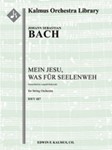 Mein Jesu, was fuer Seelenweh, BWV 487 [String Orchestra (8.8.5.5.5 in set)]