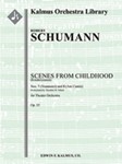 Scenes from Childhood, Op. 15 (Kinderszenen): Nos. 7 (Traumerei) and 8 (Am Camin) [1.1.2.1: 2.0+2(Cr