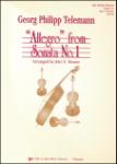 Allegro From Sonata No. 1 - Orchestra Arrangement