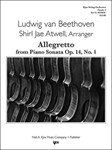 ALLEGRETTO FROM PA SONATA OP.14 NO.1 - SCORE