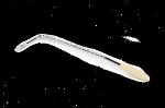 Fender Standard Series Tremolo Arm