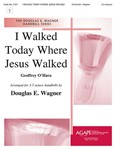 I WALKED TODAY WHERE JESUS WALKED 3-5 oct.