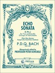 Echo Sonata for Two Unfriendly Groups of Instruments