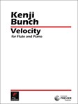Velocity